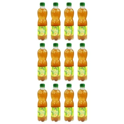 Bio Linie Kombucha herbata zielona Zestaw 12 x 500 ml Bio