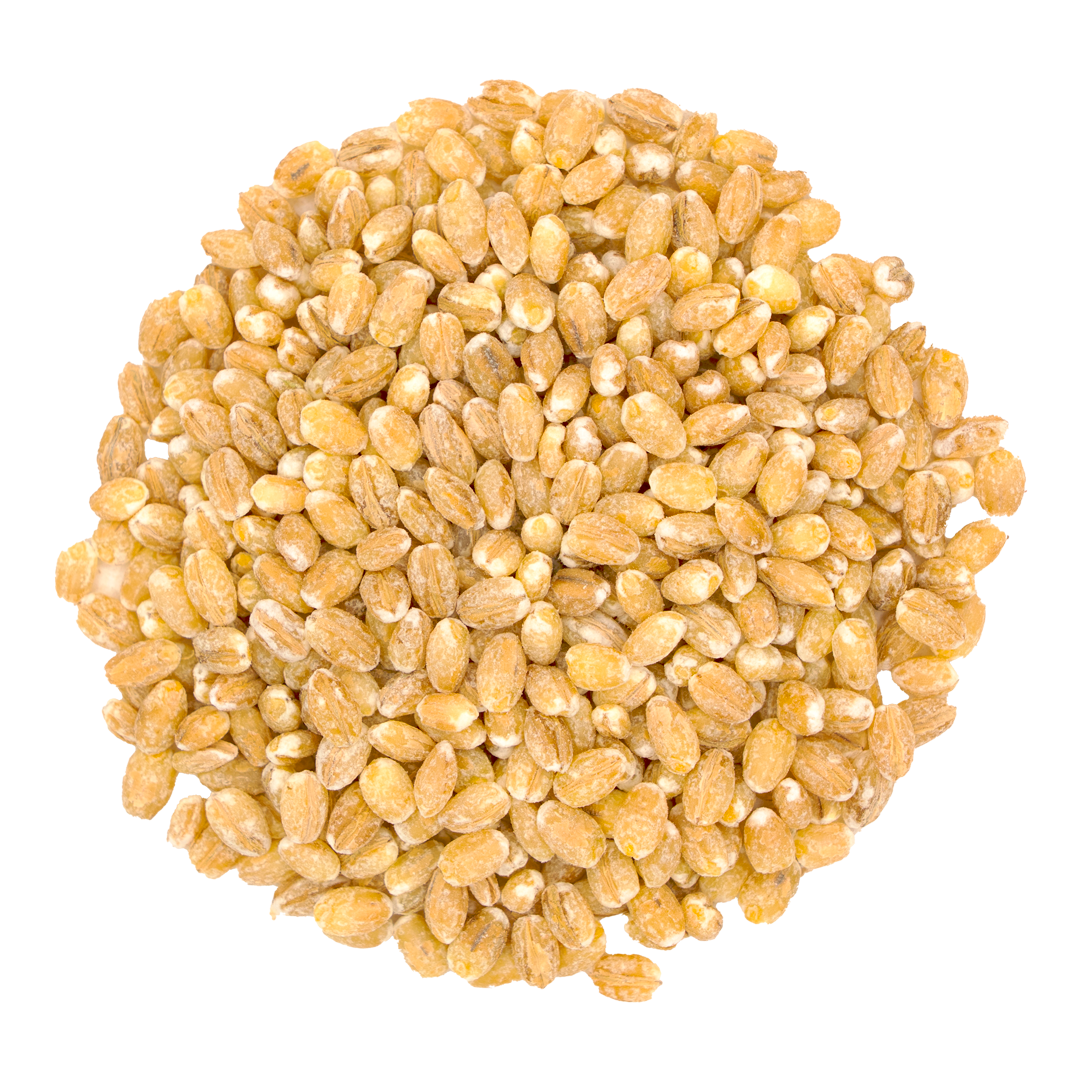 Kasza pęczak jęczmienny