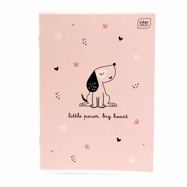 INT ZESZYT A5 16K 3LI KOL UV