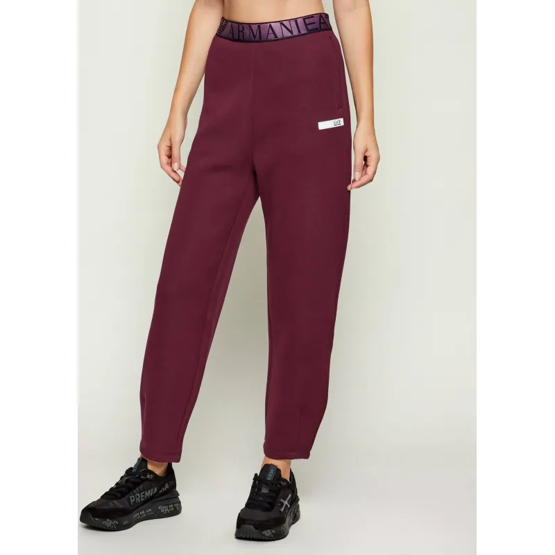 EA7 Spodnie dresowe | Regular Fit