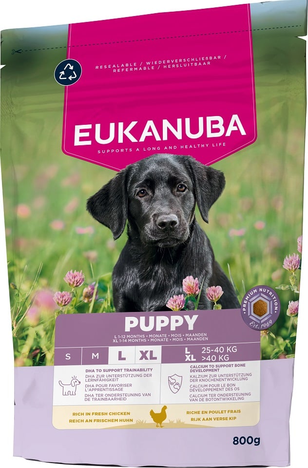 EUKANUBA Puppy Large Breeds Chicken 800 g sucha karma dla szczeniąt dużych ras bogata w świeżego kurczaka