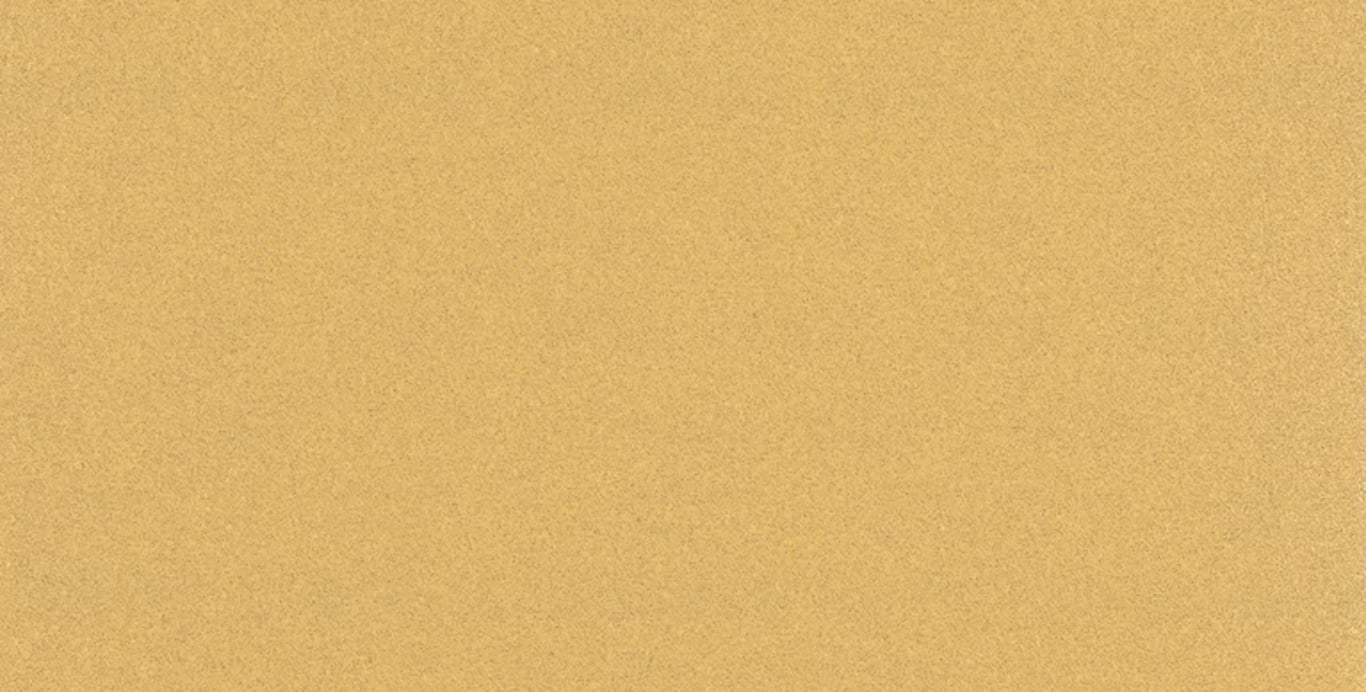 Bosch 2 608 900 875 dodatek do szlifierstwa ręcznego Płytka szlifująca 10 szt. 2608900875