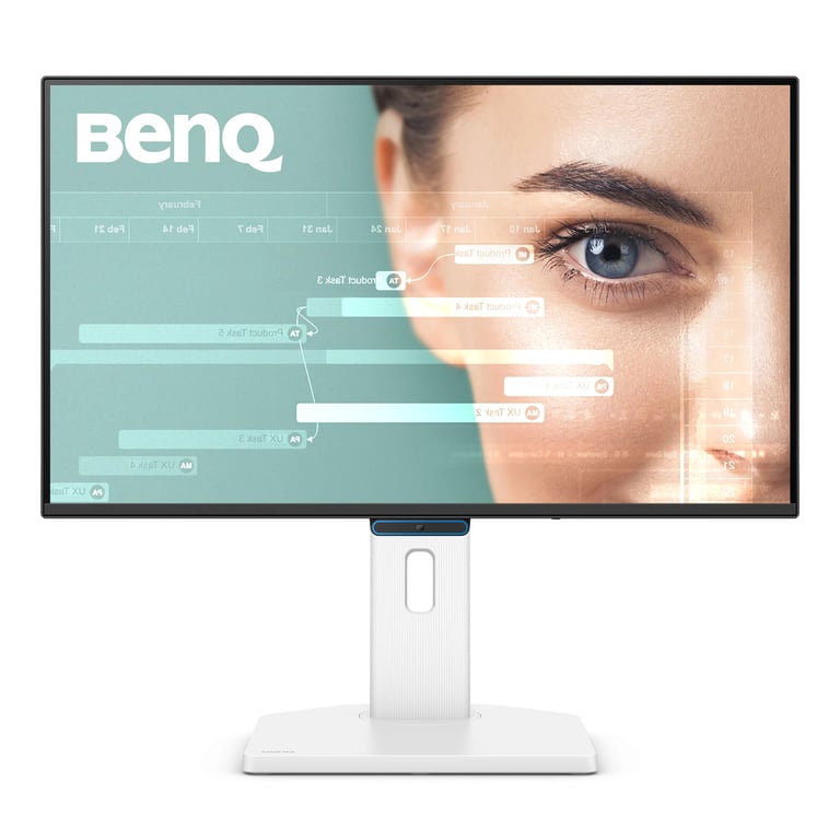 BenQ GW2490TC (24