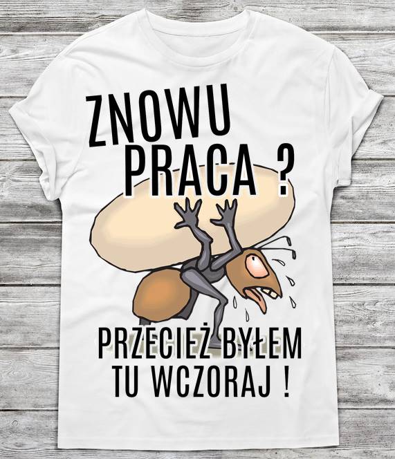 Koszulka męska na prezent
