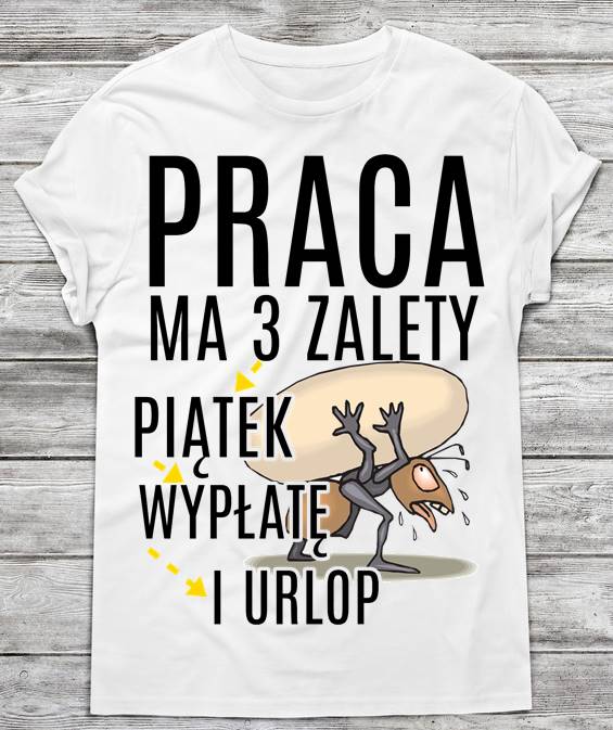 śmieszna koszulka męska o pracy