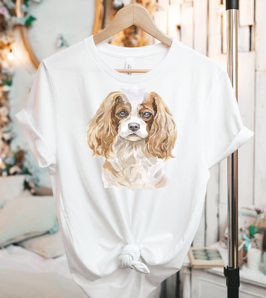 Koszulka damska z spanielem
