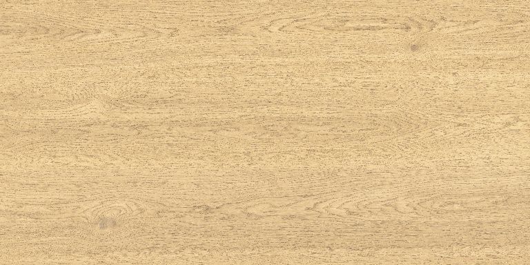 Gres Legno Stargres 60 x 120 cm tavola beige 1,44 m2