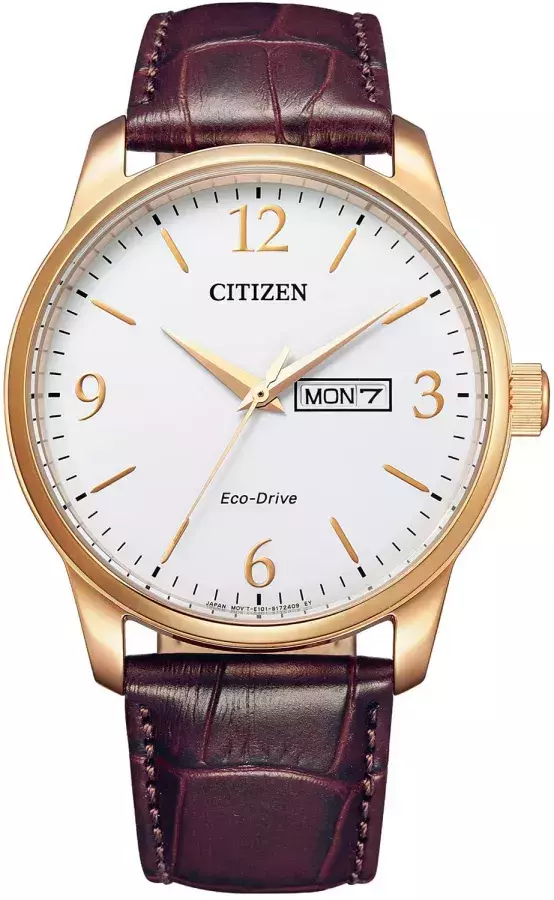 Zegarek męski Citizen Leather BM8553-16AC