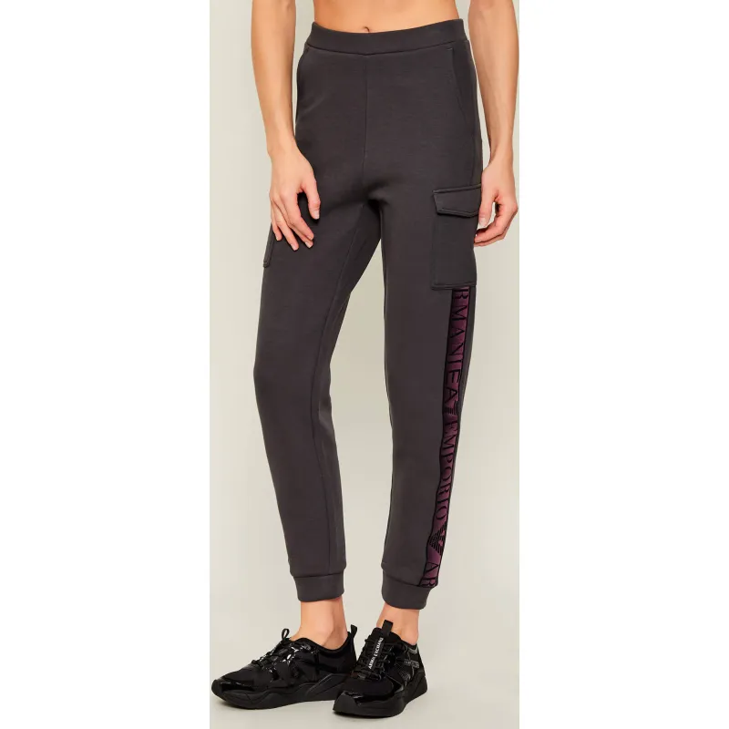 EA7 Spodnie dresowe | Regular Fit