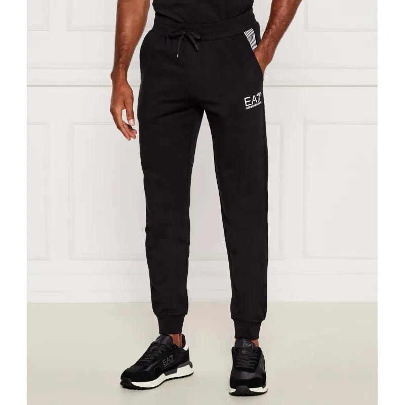 EA7 Spodnie dresowe Regular Fit