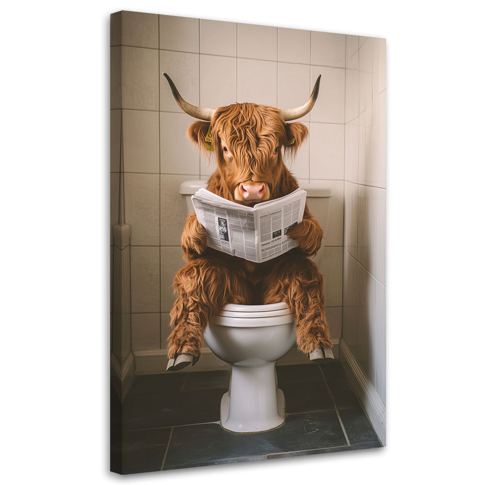 Feeby Obraz na płótnie, Szkocka Krowa z Gazetą w Toalecie 60x90cm