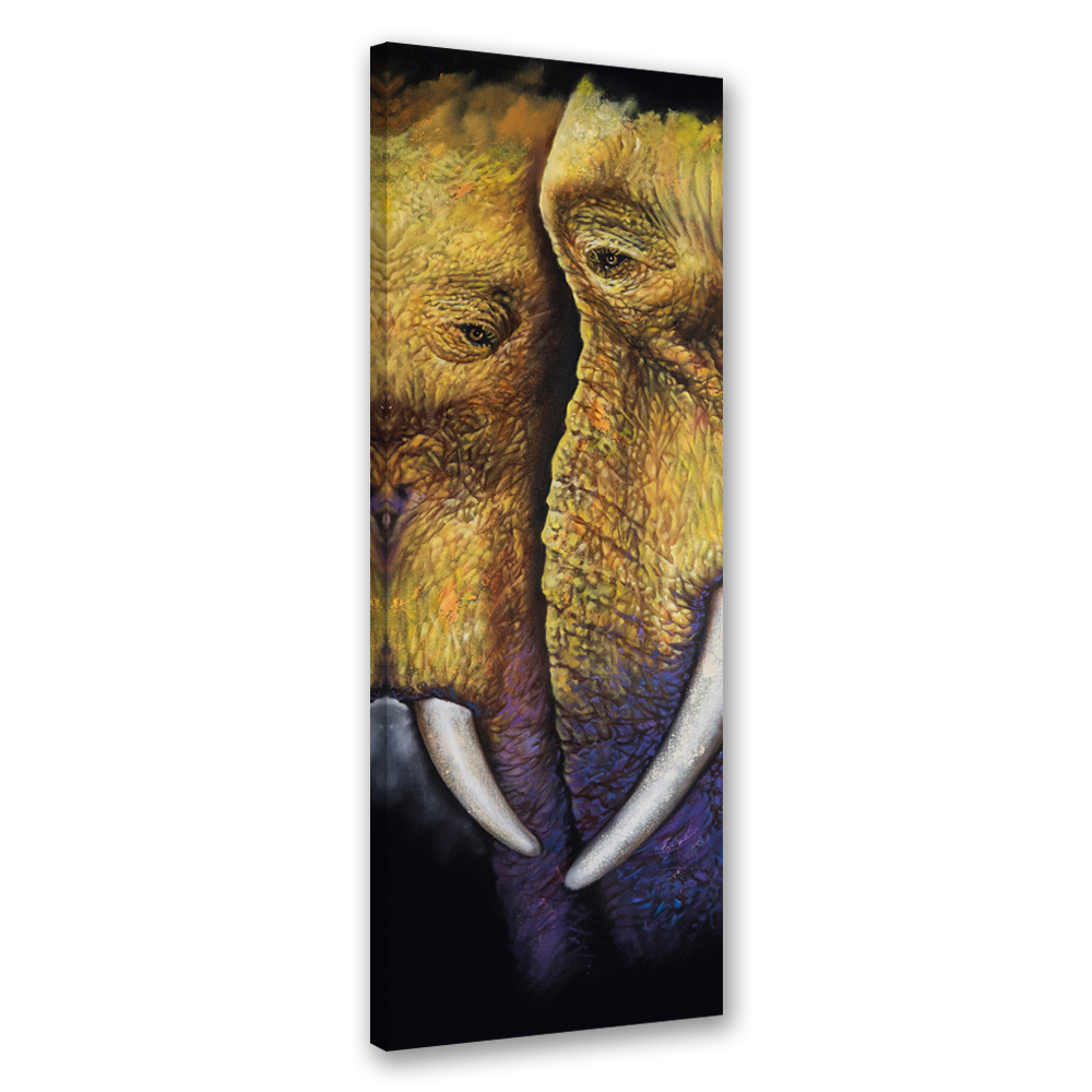 Feeby Obraz na płótnie, Para słoni 30x90cm