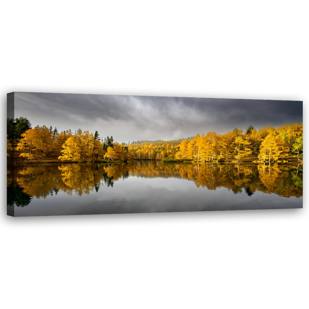 Feeby Obraz na płótnie, Zółty Jesienny Las Natura Krajobraz 120x40cm