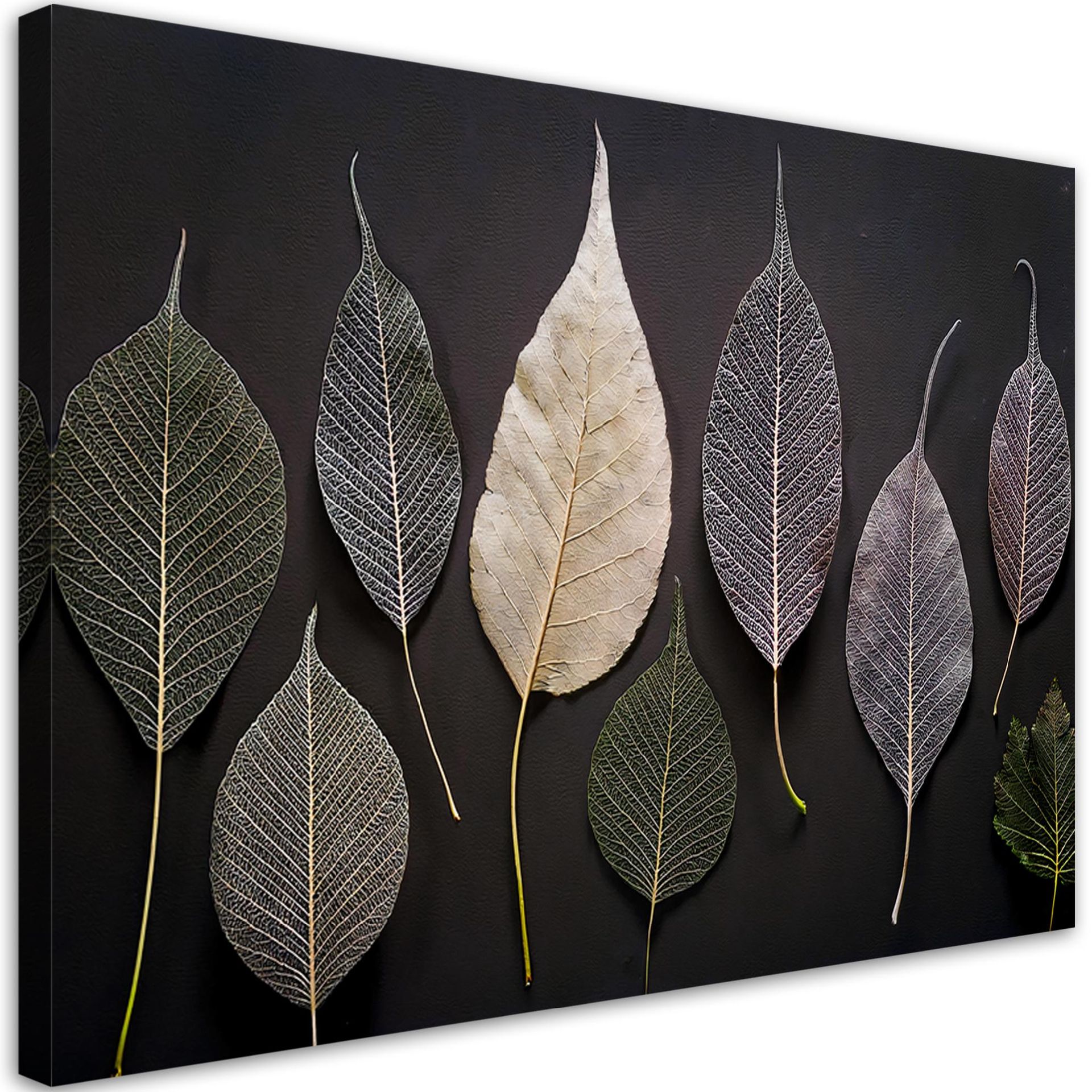 Feeby Obraz na płótnie, Minimalizm Liście Glamour Rośliny 100x70cm