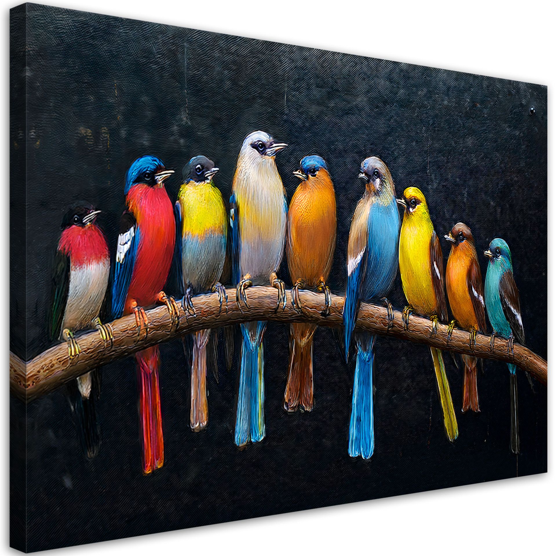 Feeby Obraz na płótnie, Ptaki Zwierzęta Kolorowe 100x70cm