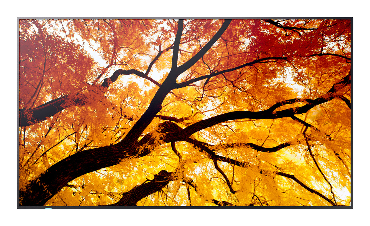 Sharp MultiSync M502 Płaski panel Digital Signage 127 cm (50