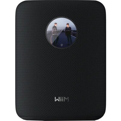 WIIM Głośnik multiroom  Sound Czarny