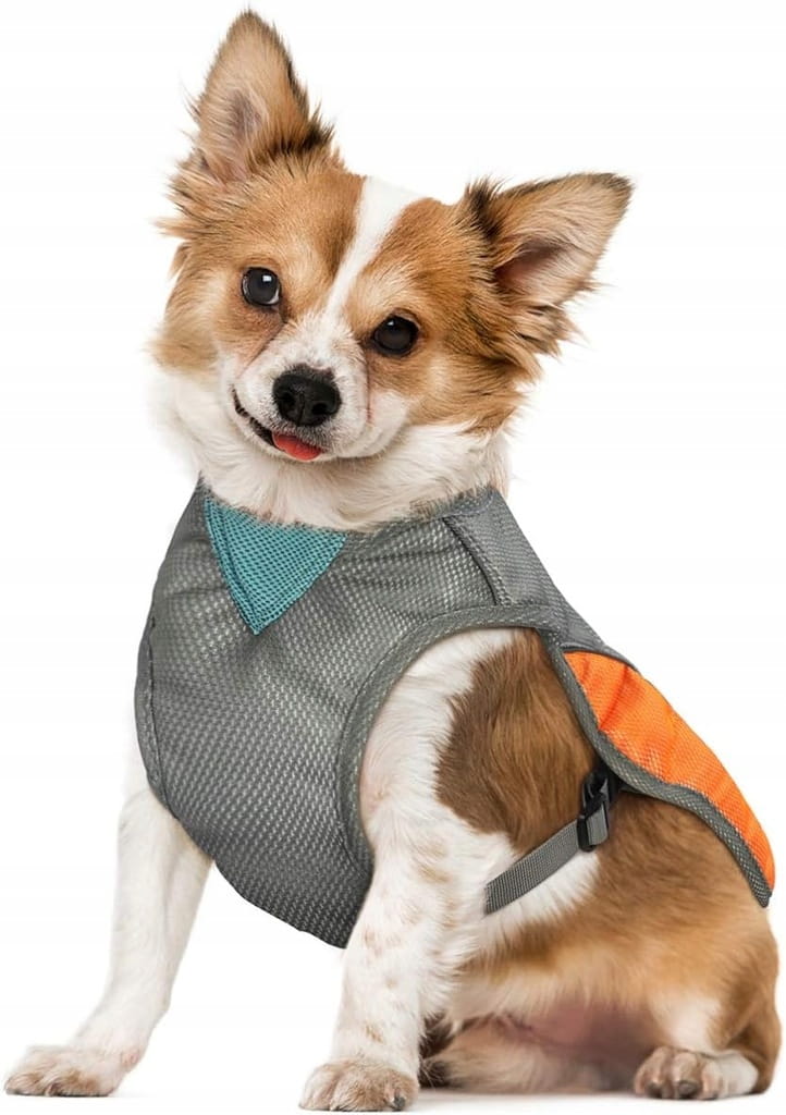 Kamizelka chłodząca dla psa – siateczkowa, na klamry, szaro-pomarańczowa, rozmiar S