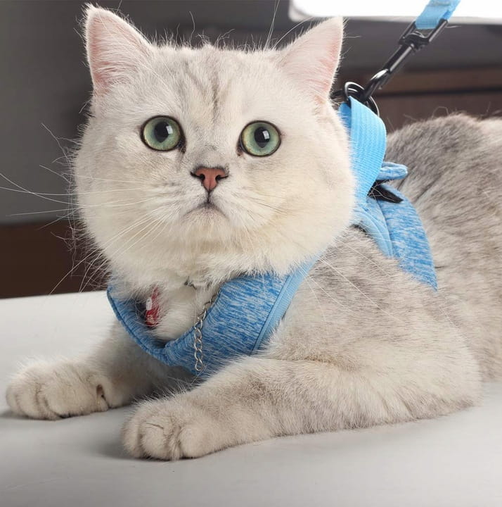 Szelki uprząż dla psa i kota bez ciągnięcia z klipsem do smyczy r. M Niebieski