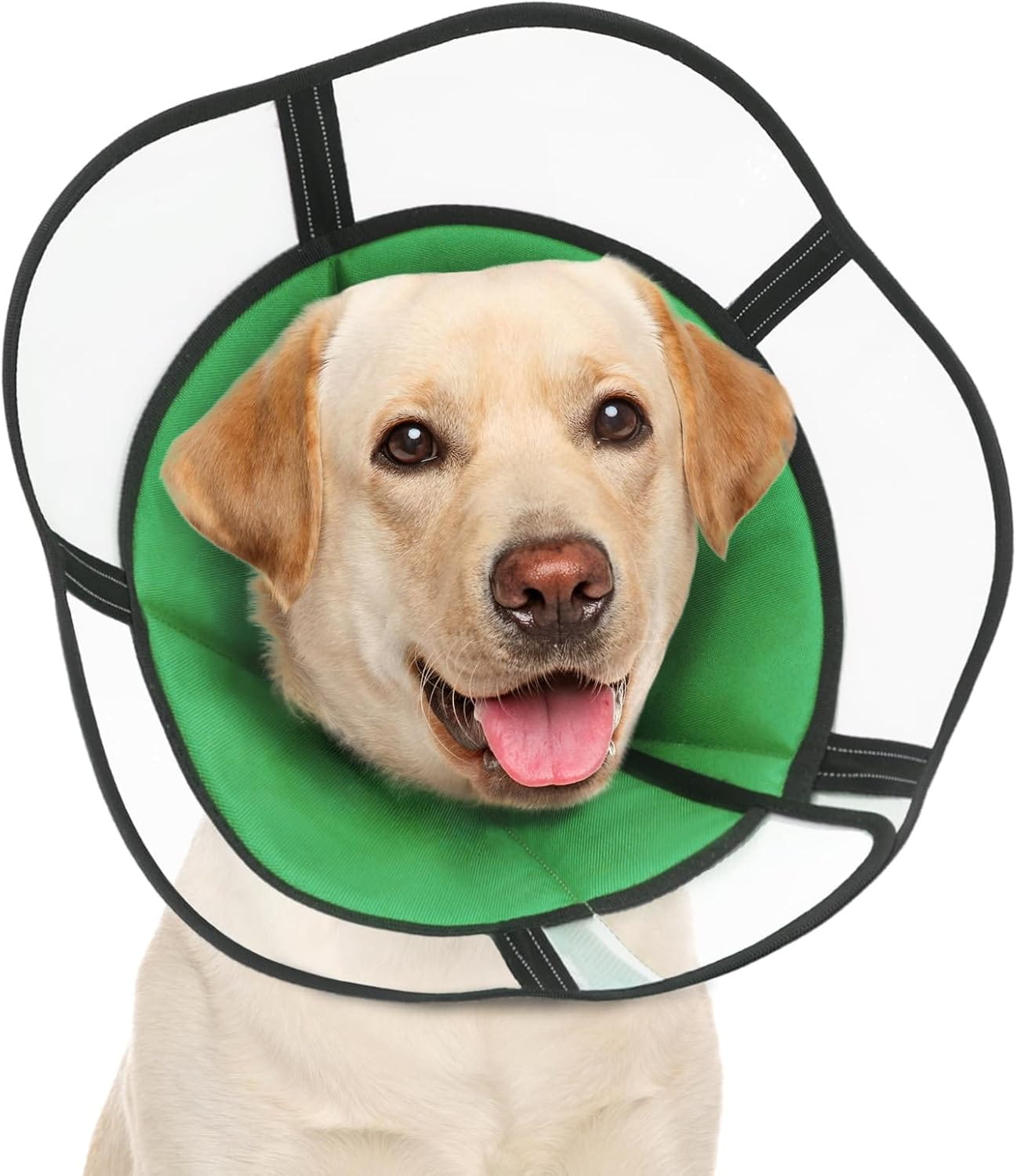 Kołnierz pooperacyjny dla psa regulowany na rzep zielony L