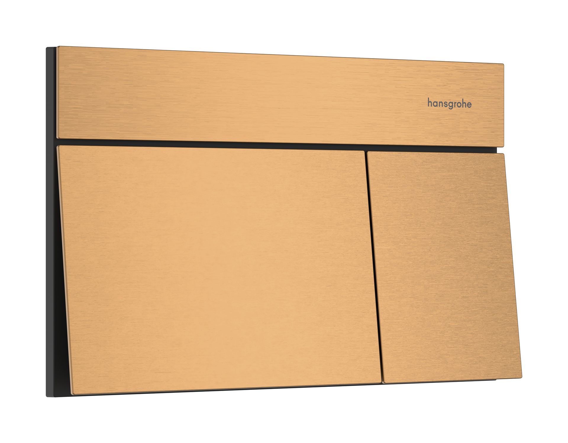 Hansgrohe iFrame Element E Przycisk spłukujący 66003140