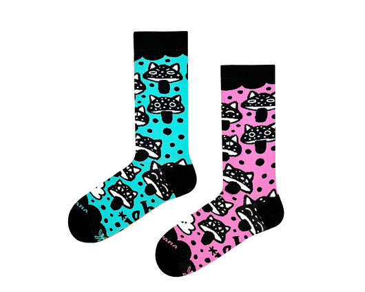 Studio NIEBO x Takapara - Grzybokoty