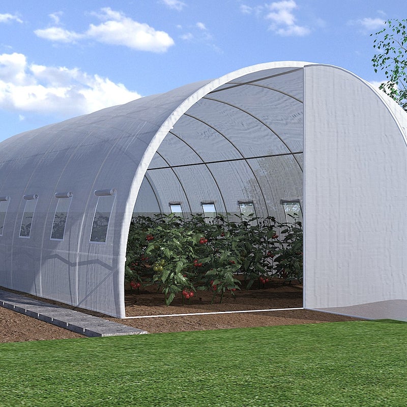 Foliowe pokrycie do szklarni tunelowej z drzwiami ALOCASIA, 18 m² – 600 × 300 × 200 cm (dł. × szer. × wys.)