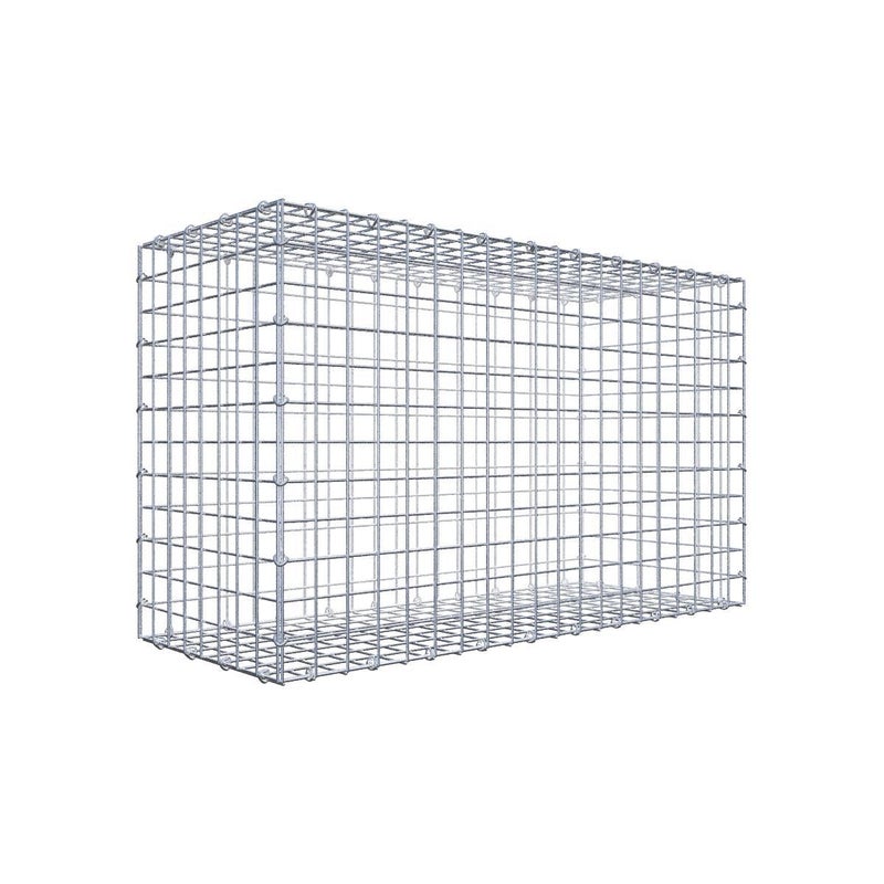 Gabion 100 cm x 60 cm x 40 cm (dł. x wys. x gł.), rozmiar oczka 5 cm x 5 cm, pierścień typu C