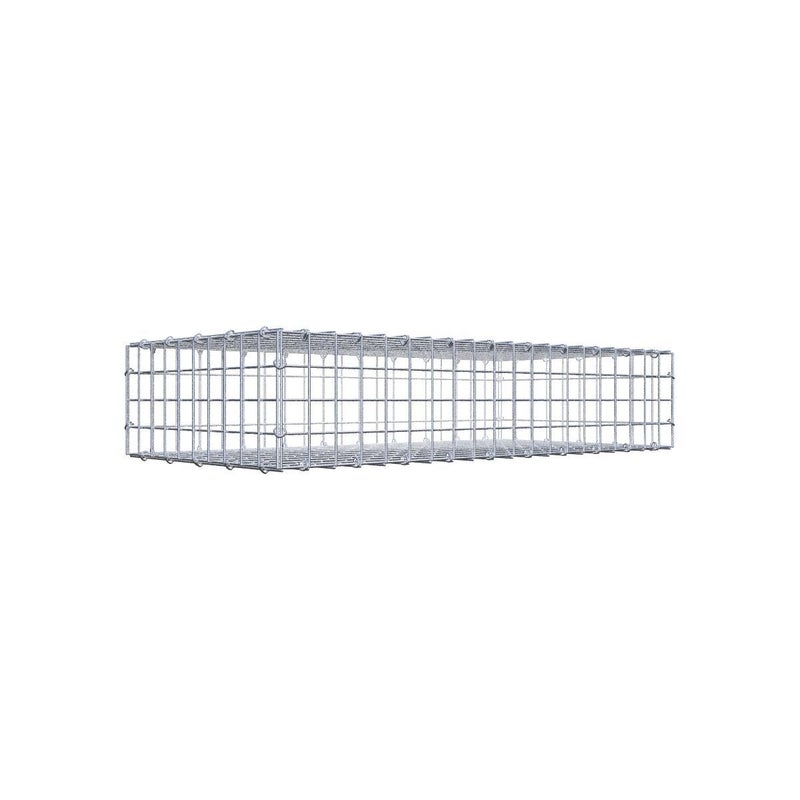 Gabion 100 cm x 20 cm x 50 cm (dł. x wys. x gł.), rozmiar oczka 5 cm x 5 cm, pierścień typu C