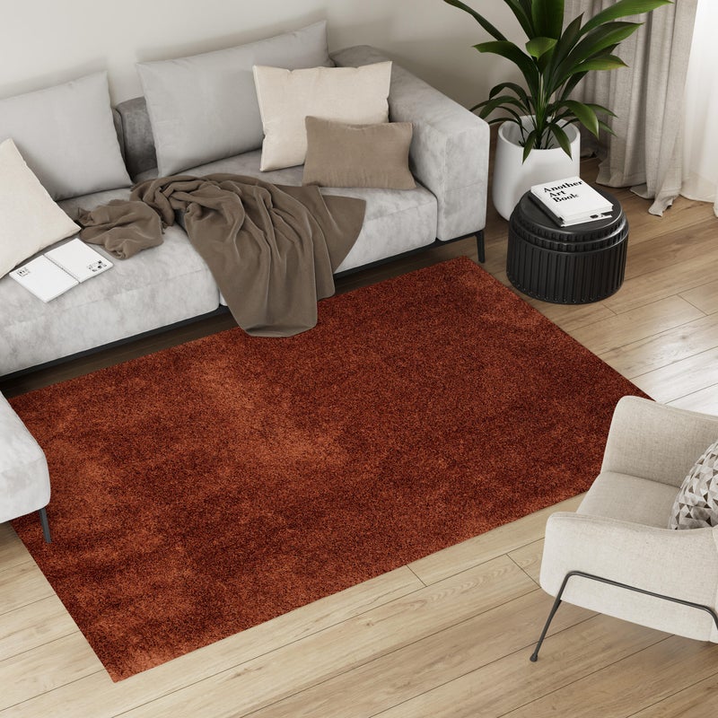 Dywan z poliestru Blizz terra 120x170cm