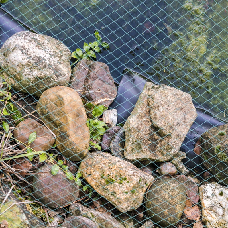Siatka stawowa 5m x 6m, siatka na liście, siatka, siatka ochronna na ptaki, wytrzymała
