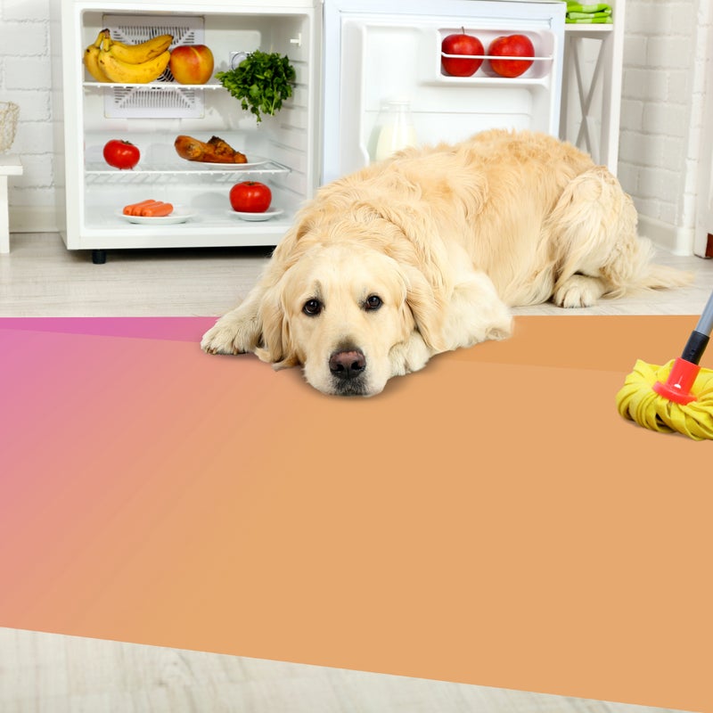 Dywan winylowy Turn 150x165 cm - PVC antypoślizgowy, winylowy dywan do kuchni lub salonu, zmywalny, nowoczesny styl