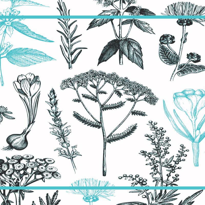 Mata winylowa Rośliny lecznicze turkusowa 66x150 cm - antypoślizgowa, winylowa do kuchni lub salonu, wodoodporna, zmywalna, ognioodporna