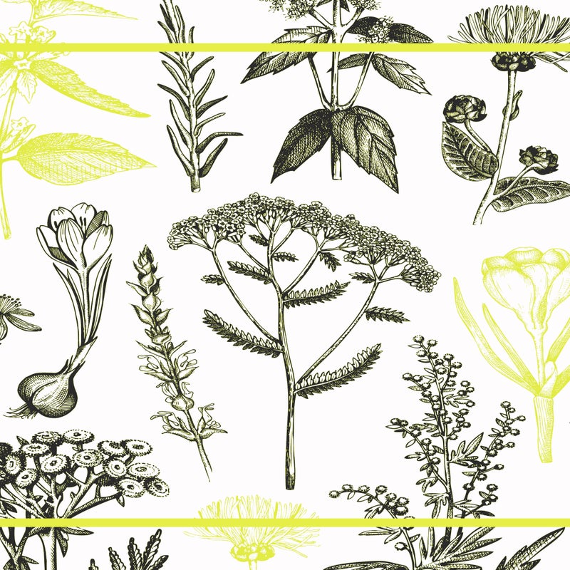 Winylowa mata podłogowa Rośliny lecznicze cytryna 66x150 cm - PVC antypoślizgowa, winylowa do kuchni lub salonu, wodoodporna, zmywalna, ognioodporna