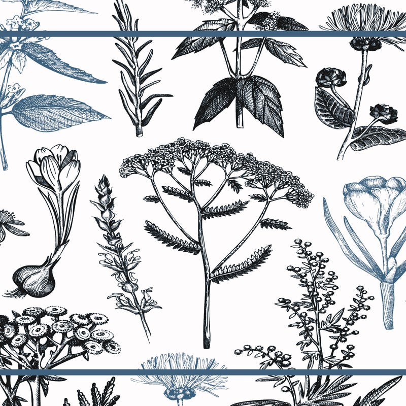 Winylowa mata podłogowa Rośliny lecznicze niebieska 66x150 cm - PVC antypoślizgowa, winylowa do kuchni lub salonu, wodoodporna, zmywalna, ognioodporna