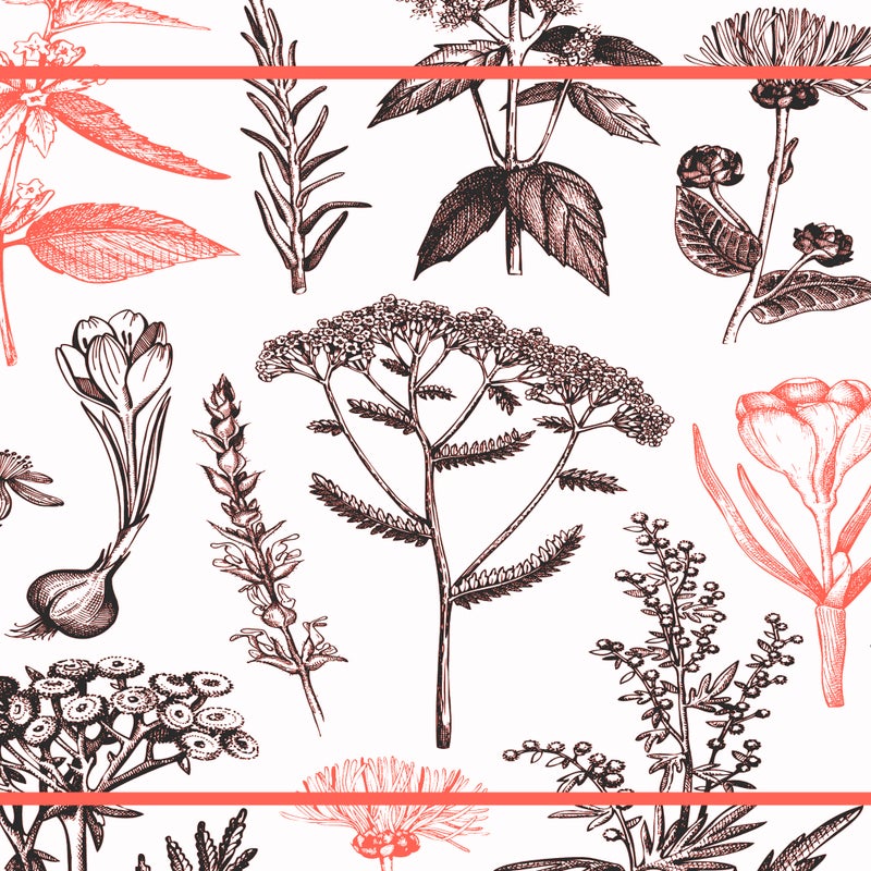 Winylowa mata podłogowa Rośliny lecznicze czerwona 66x150 cm - PVC antypoślizgowa, winylowa do kuchni lub salonu, wodoodporna, zmywalna, ognioodporna