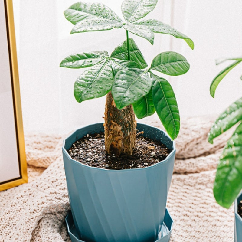 Zestaw 2 doniczek z żywicy plastikowej, kaliber 19,8 cm, duże zielone doniczki ceramiczne do sukulentów i aloesu, rozmiar bardzo duży