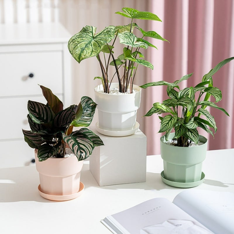 Zestaw 3 doniczek, 17*15,5*16 cm, minimalistyczne doniczki z żywicy, pogrubione doniczki plastikowe, trwałe i odporne na wstrząsy, do zielonych roślin