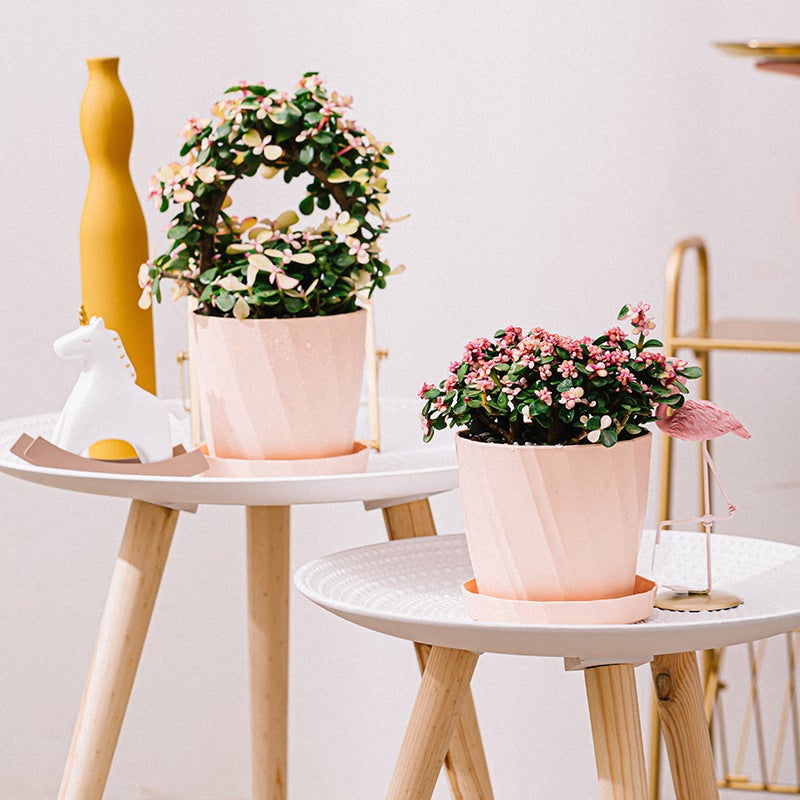 Zestaw 3 doniczek z żywicy plastikowej, kaliber 16,8 cm, duże doniczki ceramiczne w kolorze różowym na sukulenty i aloes, duże