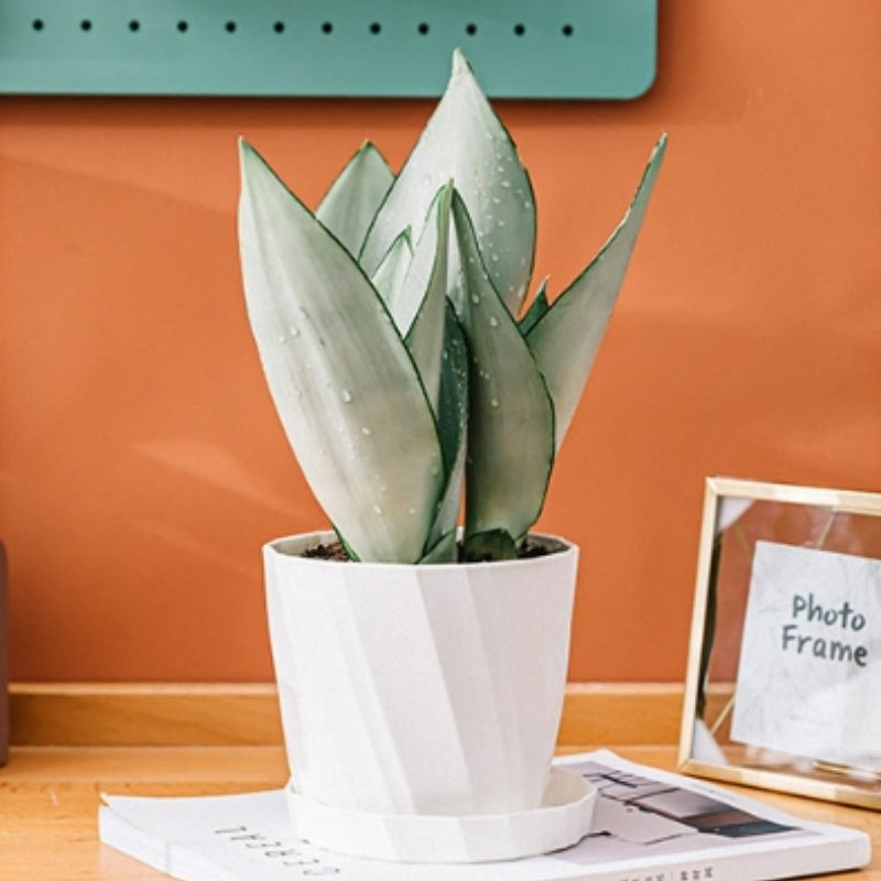 Zestaw 2 doniczek z żywicy plastikowej, kaliber 19,8 cm, duże białe doniczki ceramiczne na sukulenty i aloes, rozmiar bardzo duży