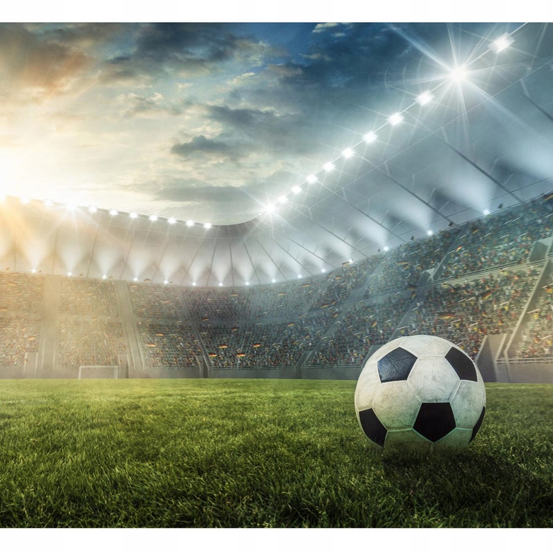 Fototapeta Dla Dzieci Chłopca Piłka Nożna Stadion 400x280 cm Tapeta Do Pokoju Dziecięcego Na Flizelinie