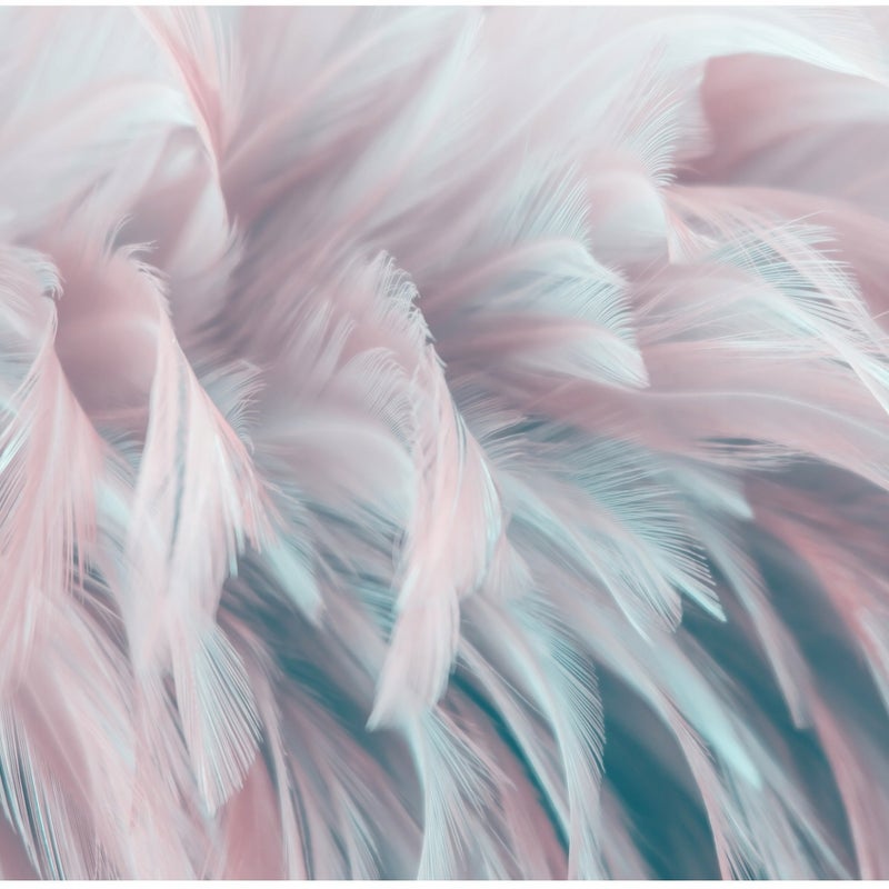Fototapeta Pióra Różowy Pastelowy 350x250 cm Tapeta Do Sypialni Salonu Kuchni Na Flizelinie