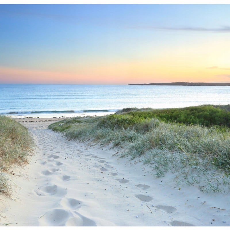 Fototapeta Plaża Morze Krajobraz Wydmy 200x140 cm Tapeta Do Sypialni Salonu Kuchni Na Flizelinie
