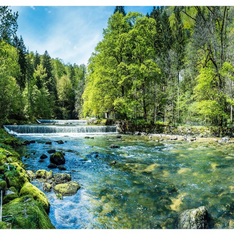 Fototapeta Las Jezioro Drzewa Krajobraz 300x210 cm Tapeta Do Sypialni Salonu Kuchni Na Flizelinie