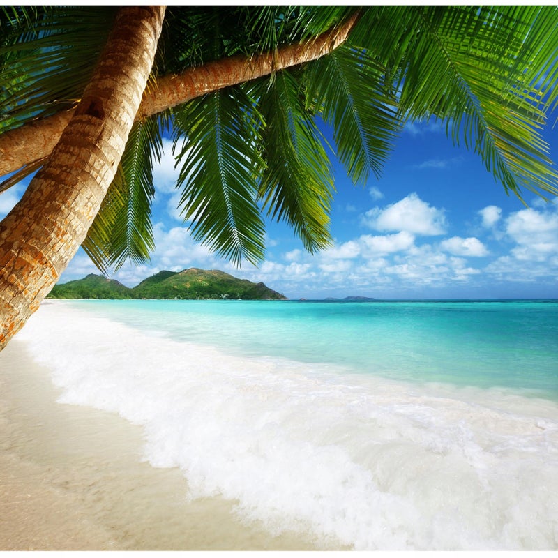 Fototapeta Plaża Palmy Piasek Ocean Natura 150x105 cm Tapeta Do Sypialni Salonu Kuchni Na Flizelinie