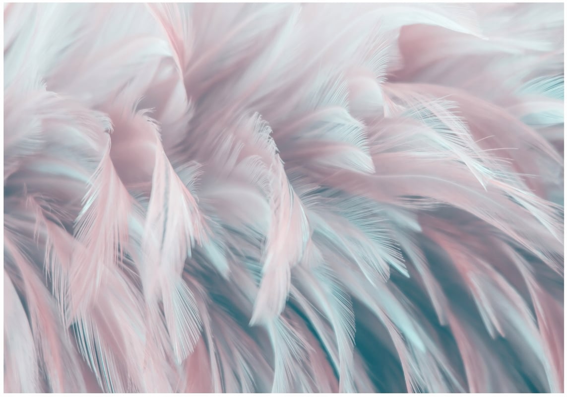 Fototapeta Pióra Różowy Pastelowy 200x140 cm Tapeta Do Sypialni Salonu Kuchni Na Flizelinie