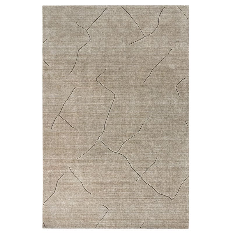 Hamid - Dywan wełniany RACINES COLLECTION TAUPE 290x200 cm - Nowoczesny styl do jadalni, salonu, sypialni