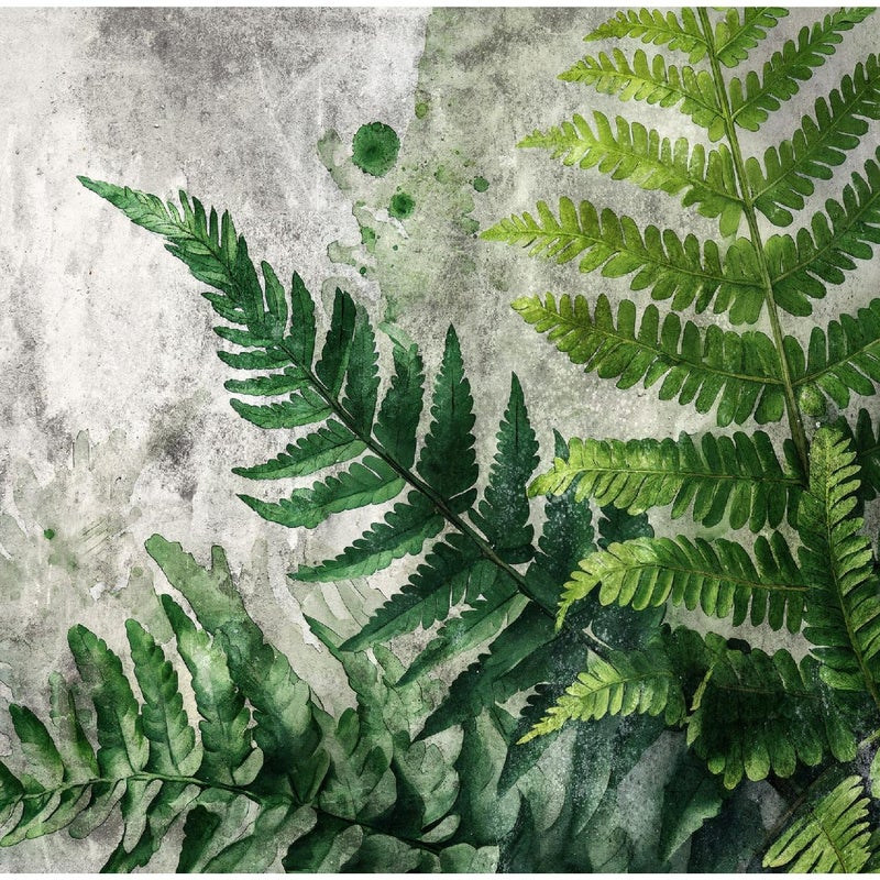 Fototapeta Zielone Liście Palmy na Betonie 200x140 cm Tapeta Do Sypialni Salonu Kuchni Na Flizelinie