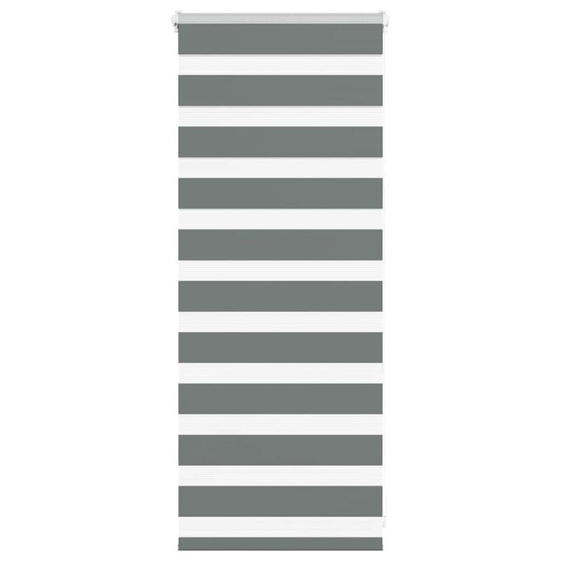 Roleta zebra, ciemnoszara, szerokość tkaniny 50,9 cm, poliester vidaXL