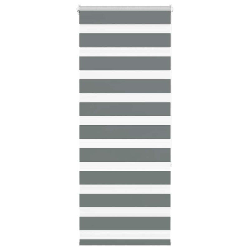 Roleta zebra, ciemnoszara, szerokość tkaniny 60,9 cm, poliester vidaXL
